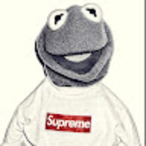 Meet your Posher, Dylan